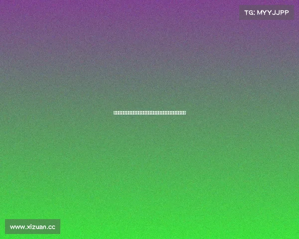 首届国际以太拳锦标赛超级联赛总决赛巅峰对决荣耀之光闪耀全场